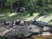Image46