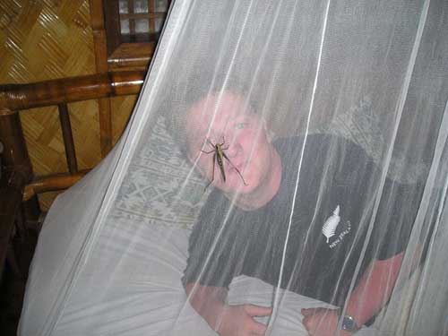 Fredde hittar en bug
